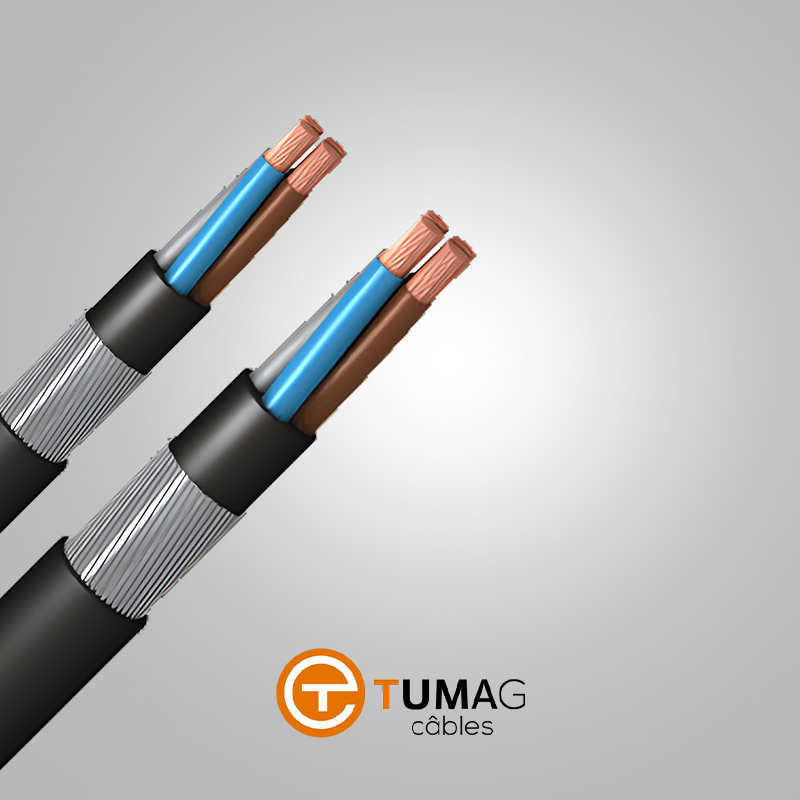 CABLE SOUPLE TUMAG RVK NOIR 3X16mm²